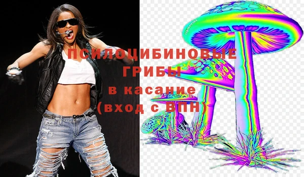 spice Бугульма